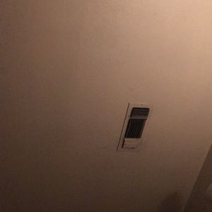 Meet your Posher, Izzy